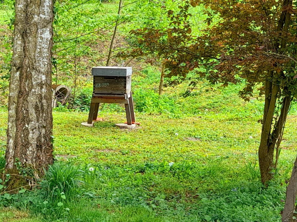 Besson Domaine Pastel Bed & Breakfast エクステリア 写真
