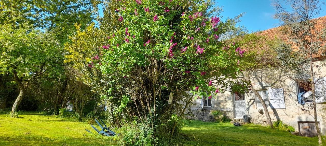 Besson Domaine Pastel Bed & Breakfast エクステリア 写真